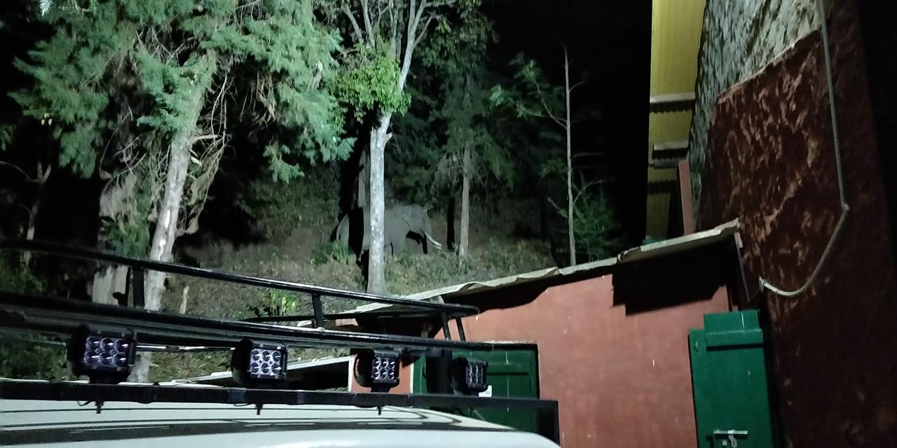 منتجع سيكرت فالي جنجل أوتي المظهر الخارجي الصورة